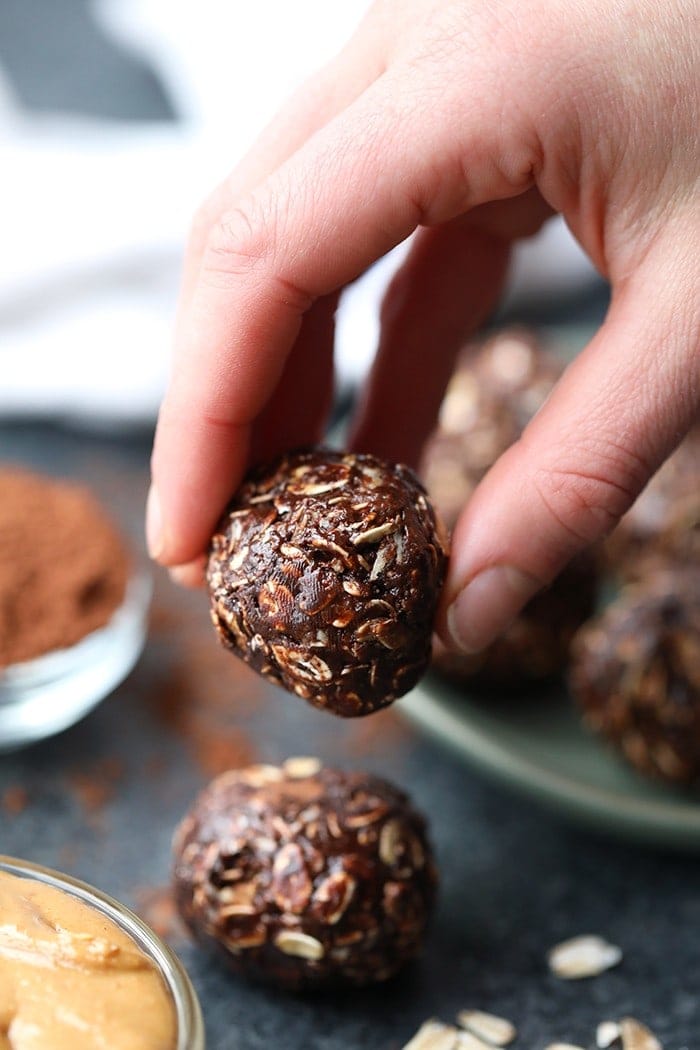 A hand holding one chocolate no bake peanut butter ball.