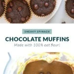 healthy chocolate muffins on a plate.