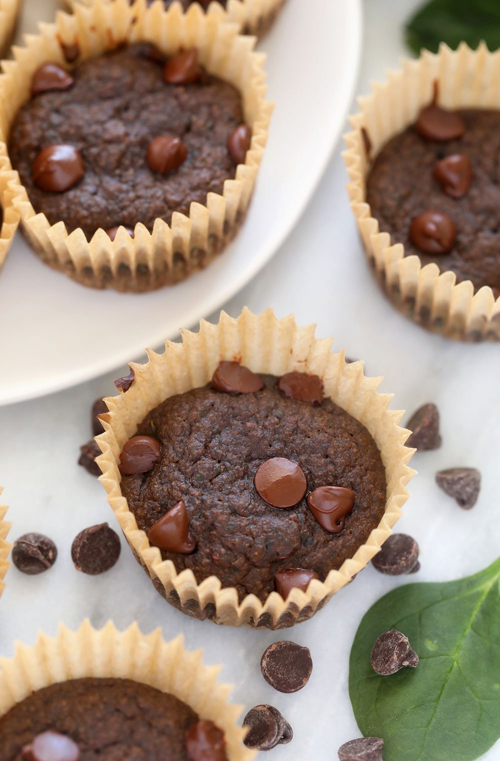 Finished chocolate chip muffins 