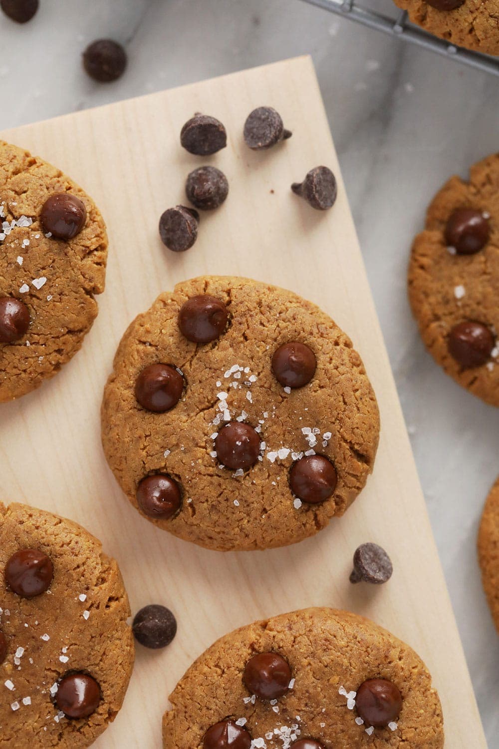 protein cookies with sea salt and chocolate chips