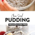 chia seed pudding