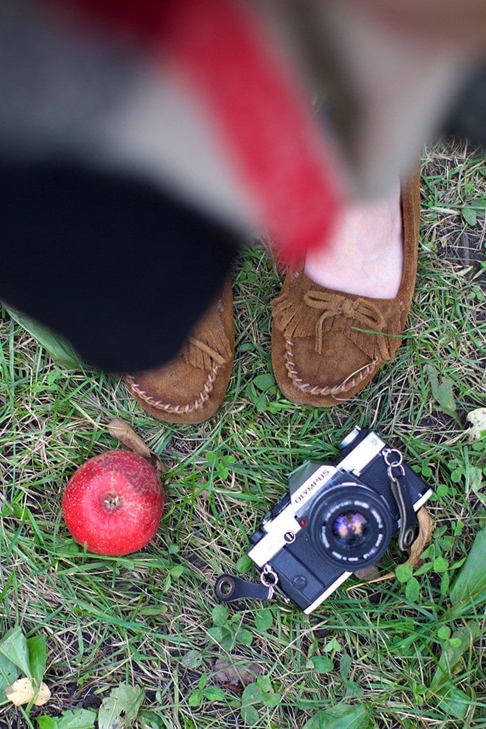 Minnesota Series- Minnetonka Orchards with the Girls