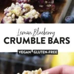 Lemon Blueberry Crumble Bars