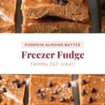 Vegan pumpkin almond butter freeze fudge with chocolate chips.