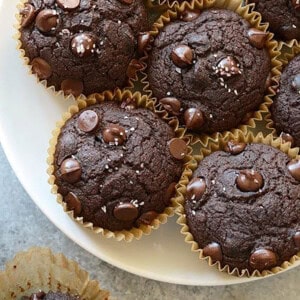 A plate of chocolate muffins on a white plate.