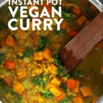 Instant Pot Curry