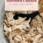 shredded chicken