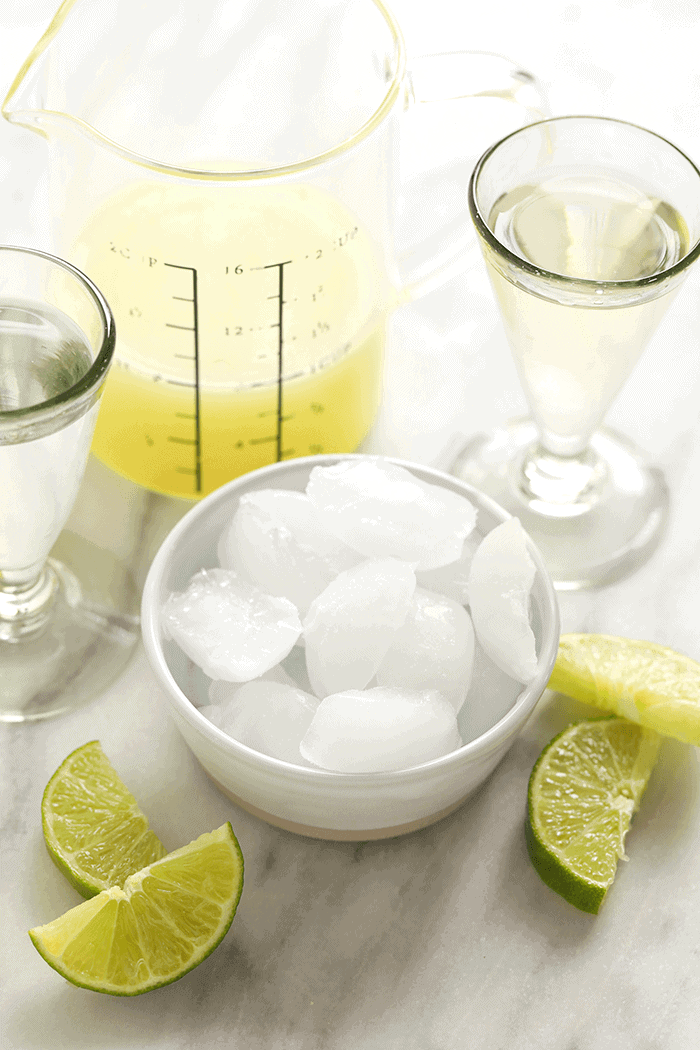 frozen margarita ingredients.