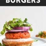 Salmon Burgers