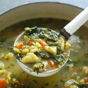 Spicy chicken noodle soup with a hint of kale.