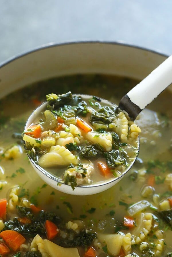 Chicken noodle soup in a ladle