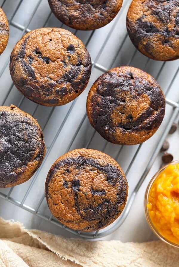 chocolate pumpkin zucchini muffins