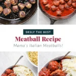 meatballs pin