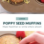 lemon poppy seed muffins