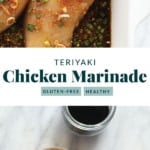 teriyaki chicken pin