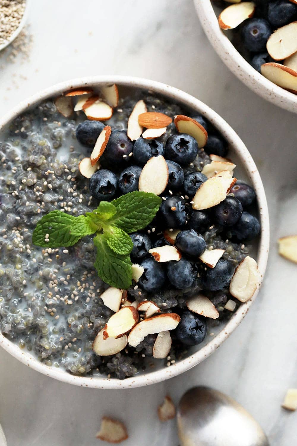 Blueberry breakfast quinoa in a bowl. 