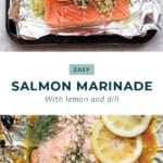 salmon marinade