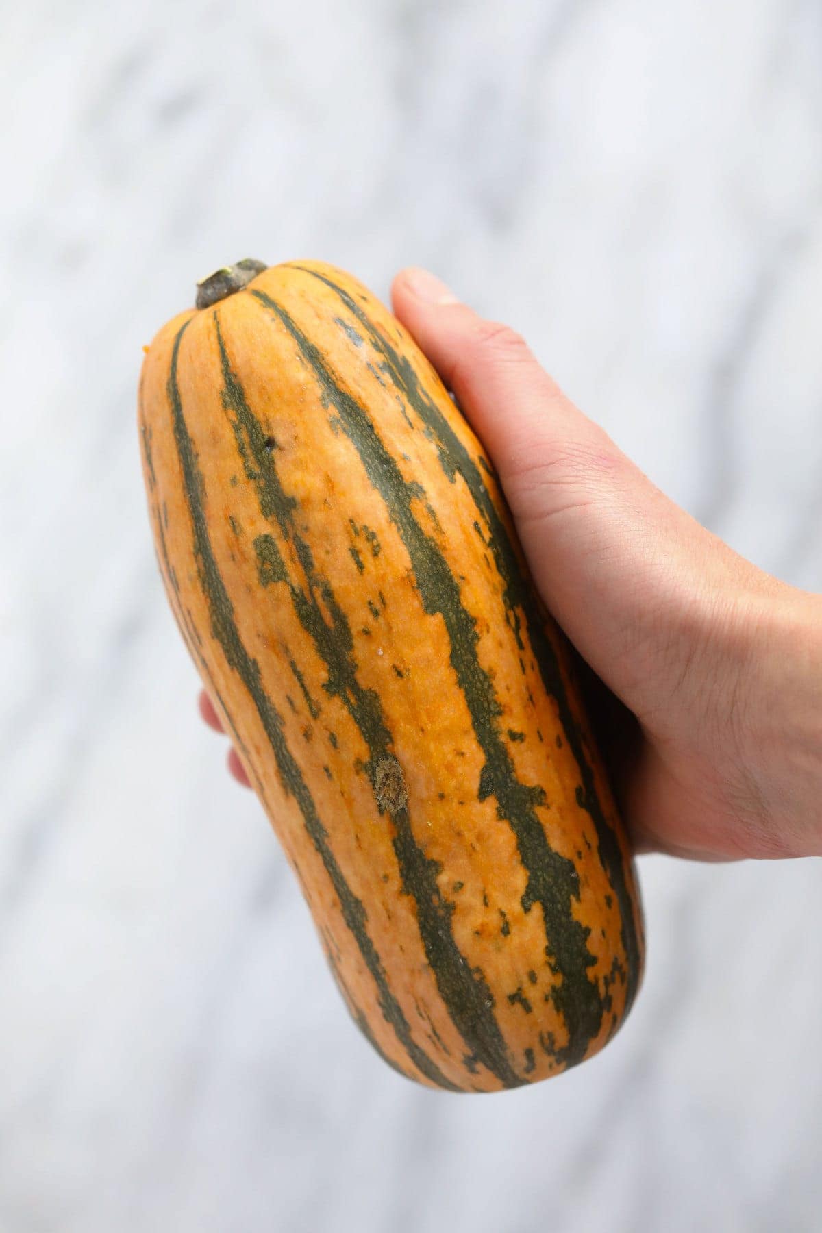 whole delicata squash ready to be prepared