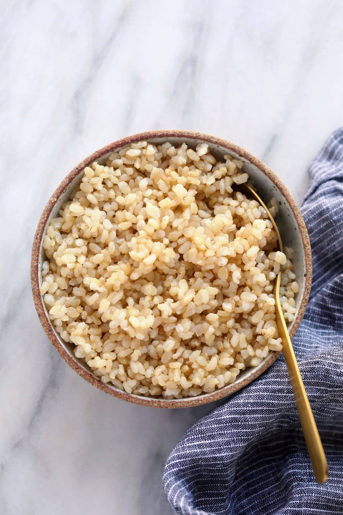 Cooked short grain brown rice in a bowl. 