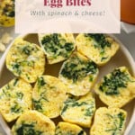 Instant Pot Egg Bites