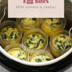 Instant Pot Egg Bites