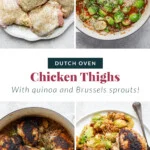 dutch oven chicken thighs pin