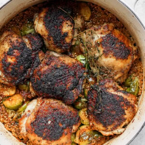 chicken thighs in Dutch oven