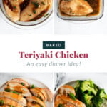 teriyaki chicken pin