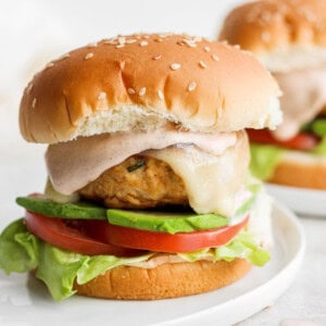 chicken burger on plate