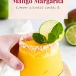 frozen mango margarita recipe.