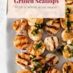 Grilled scallops with white wine sauce.