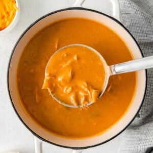 a spoonful of chicken enchilada soup in a white bowl.