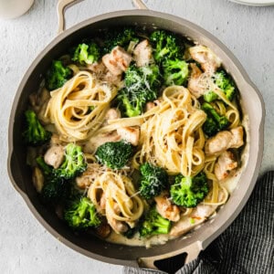 chicken broccoli alfredo