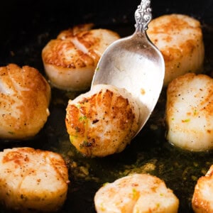 Pan Seared Scallops