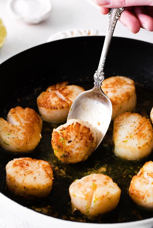 Pan Seared Scallops