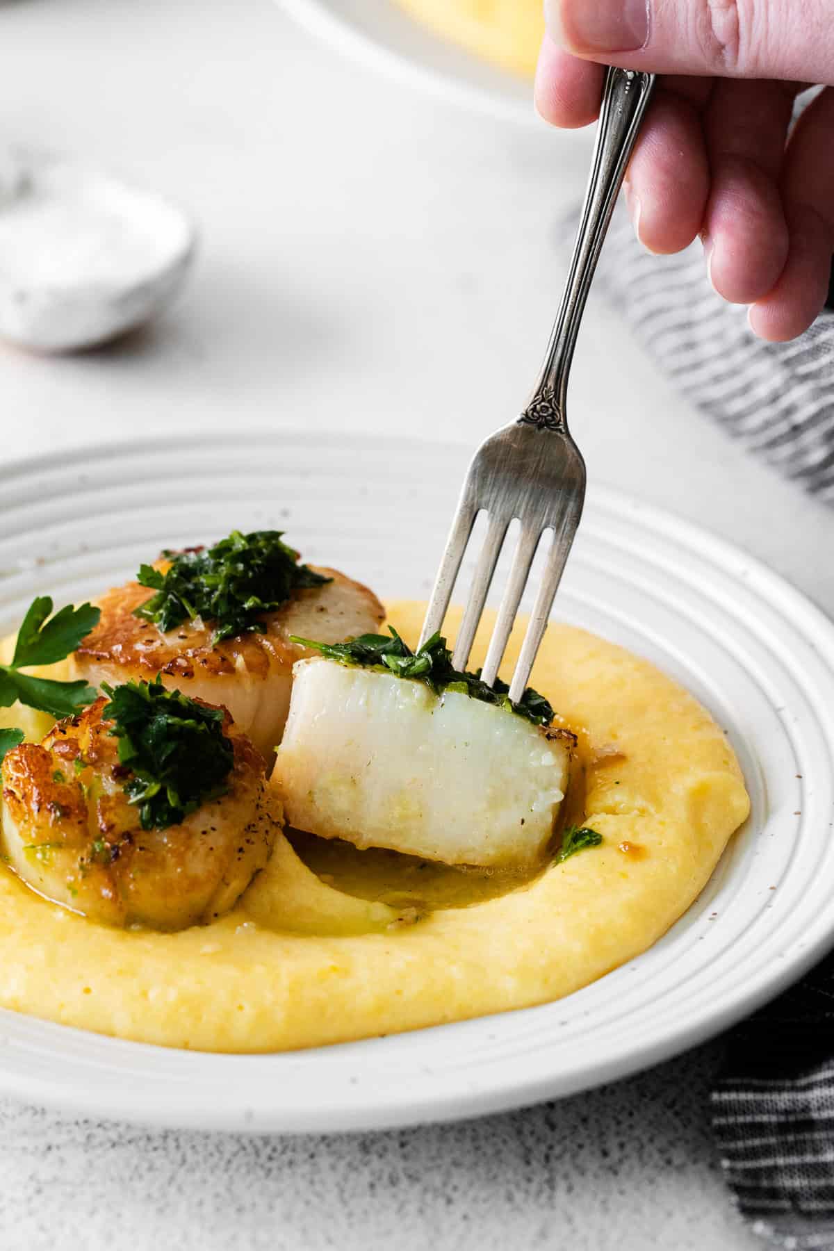 A fork taking a bite of scallops. 