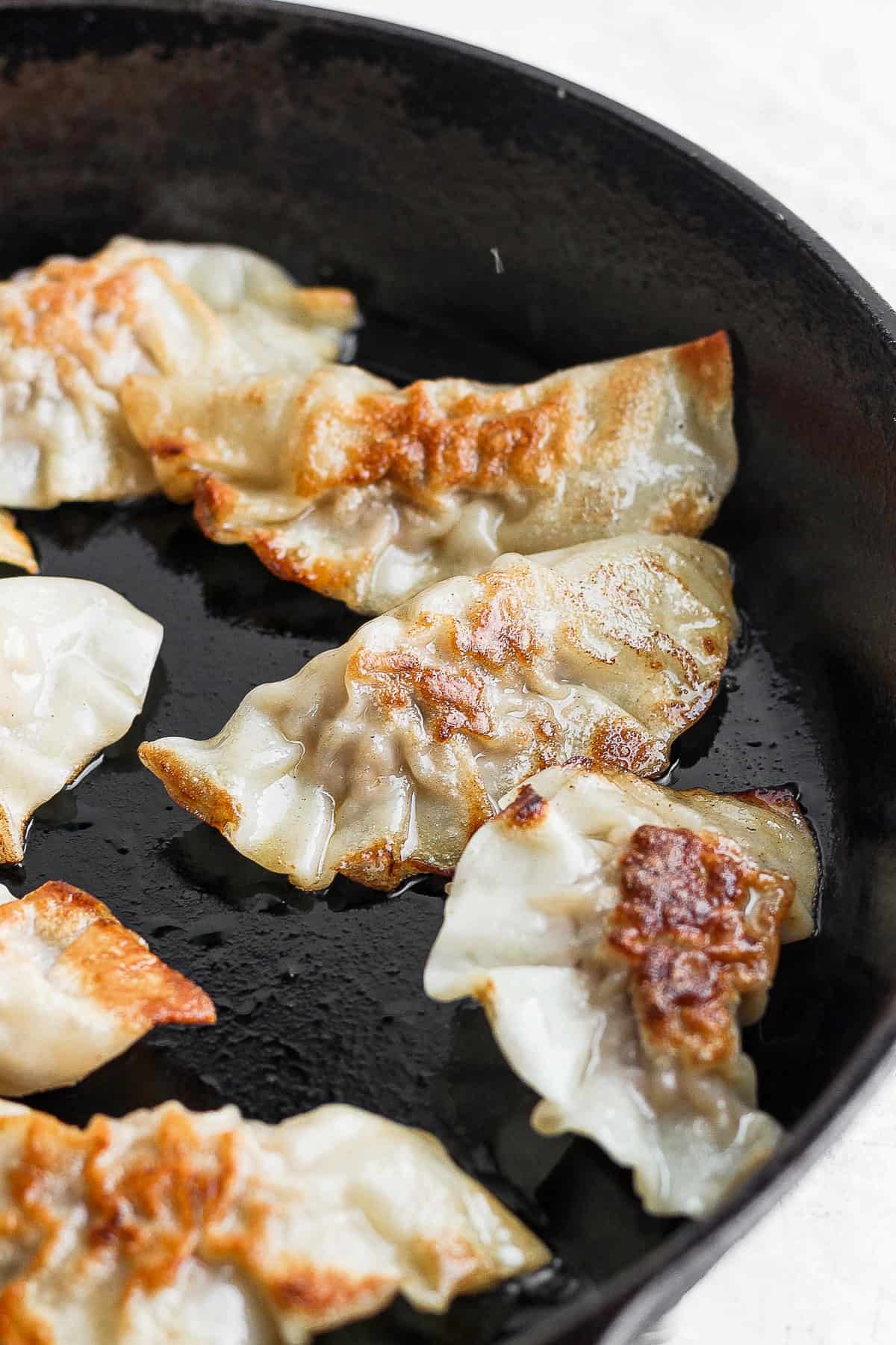 pork dumplings being pan fried in a cast iron skillet