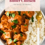 Butter chicken served over chicken.