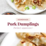 pork dumplings