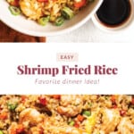 fried rice