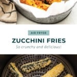 zucchini fries pin.