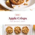 mini apple crisp pin.