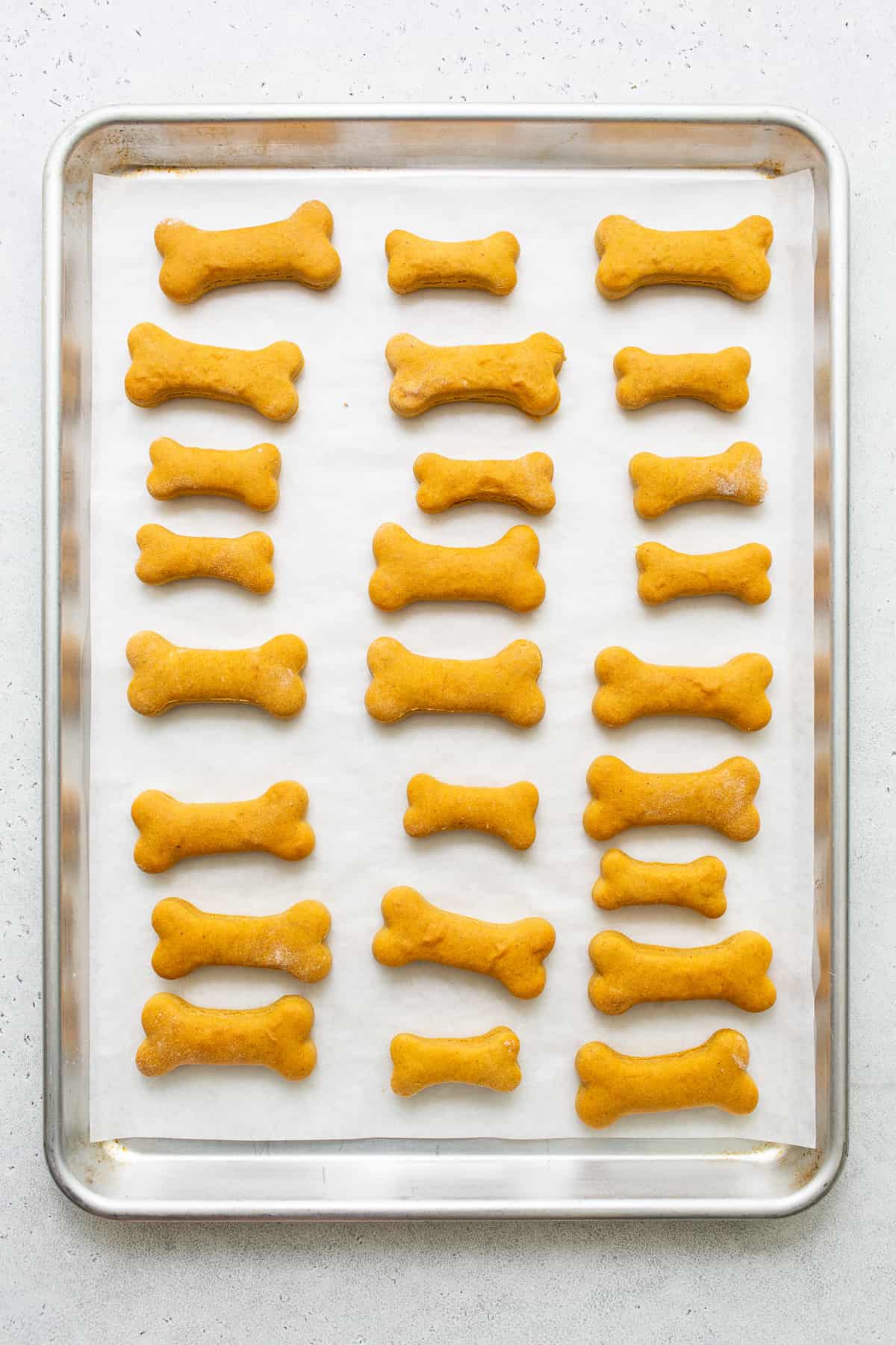 Homemade dog treats on a cookie sheet.