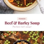 beef and barley soup pin.