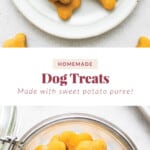 Homemade dog treats made with puree.