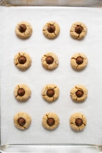 Peanut butter cookies on a baking sheet.