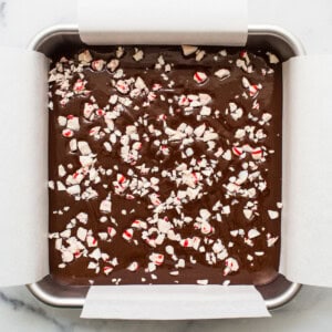 Freezer fudge topped with peppermints.