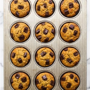 Chocolate chip muffins in a muffin tin.