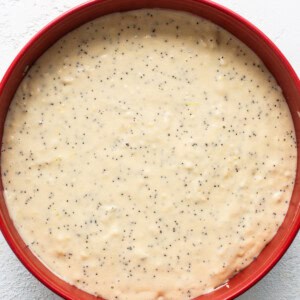 A red bowl filled with a mixture of oats and poppy seeds.