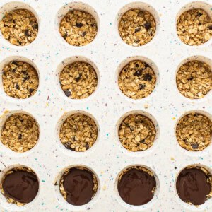 A tray filled with granola bars and chocolate chips.